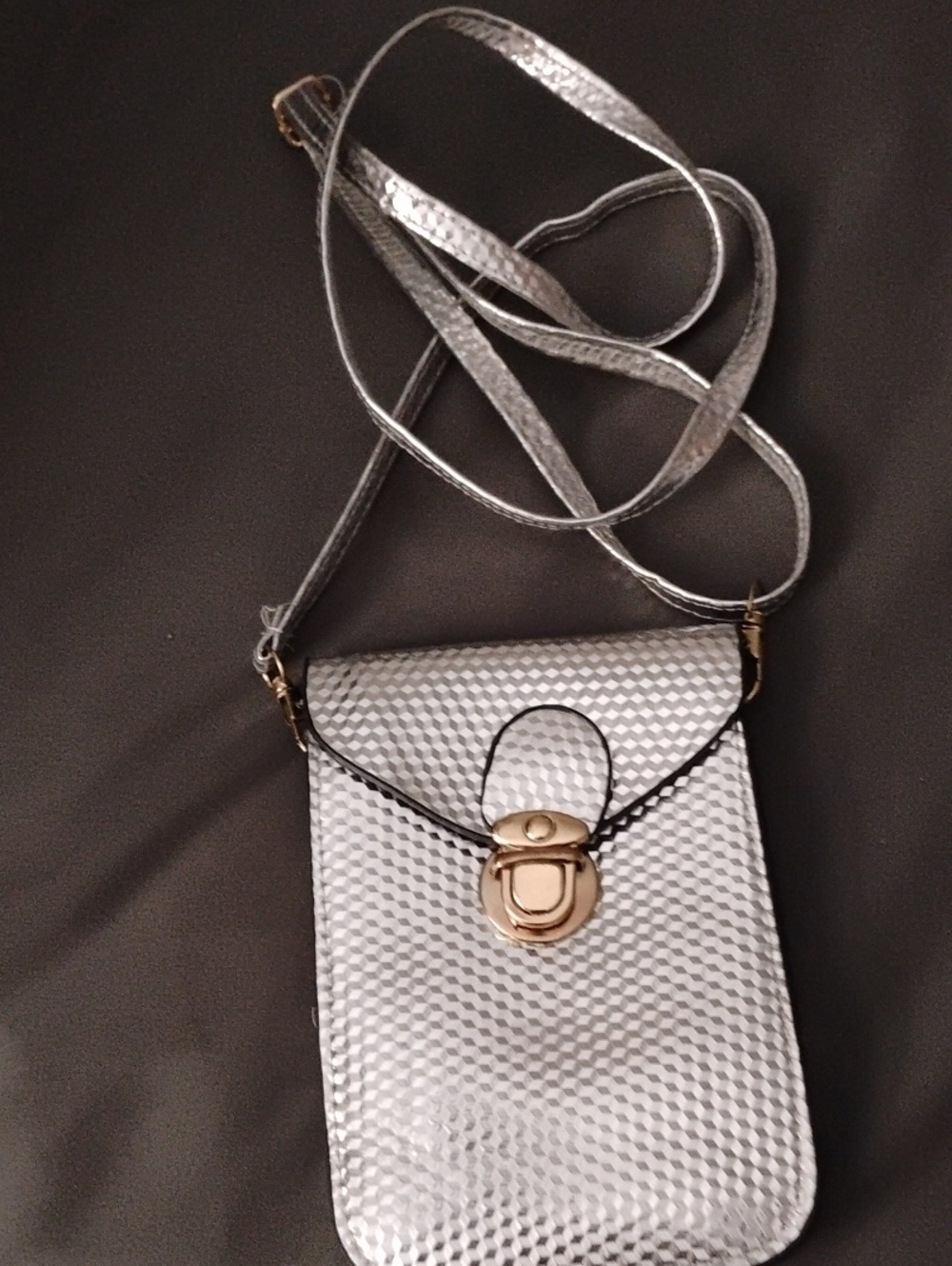 Metallic Silver Crossbody Phone Bag with Gold Clasp